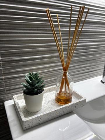 Apartamento Loft Cinco *